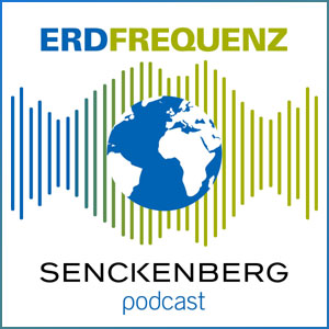 Erdfrequenz Erdfrequenz