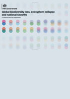 Global biodiversity loss, ecosystem collapse and national security